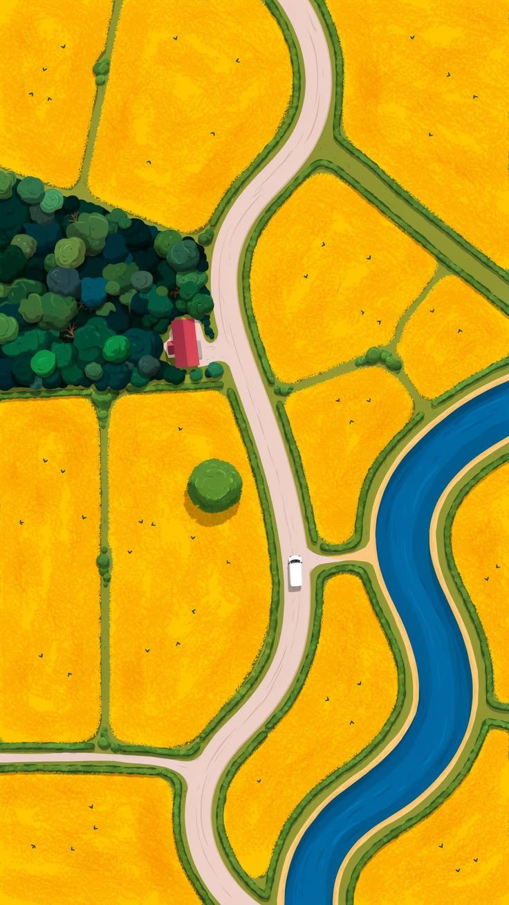 Vista aérea de campos amarillos con un camino y un río